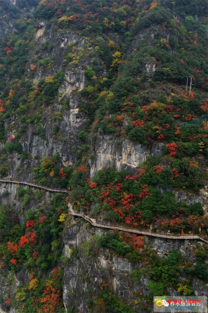 图片1.jpg 图片1.jpg