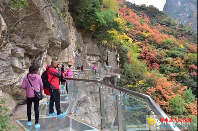 图片22.jpg 图片22.jpg