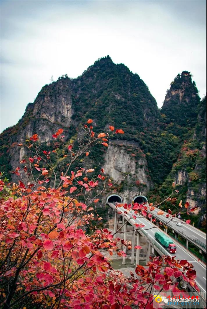 图片3.jpg 图片3.jpg