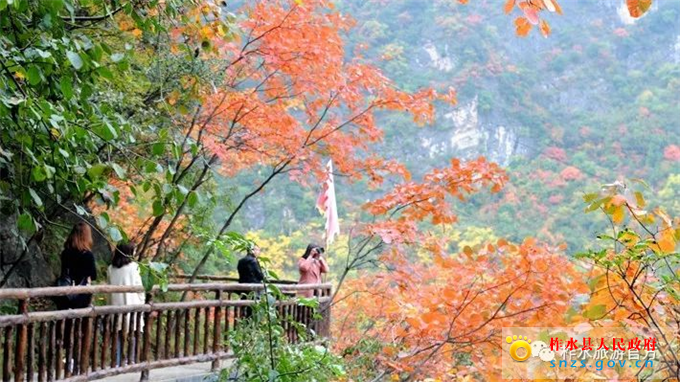 微信图片_20201030081730.jpg 微信图片_20201030081730.jpg