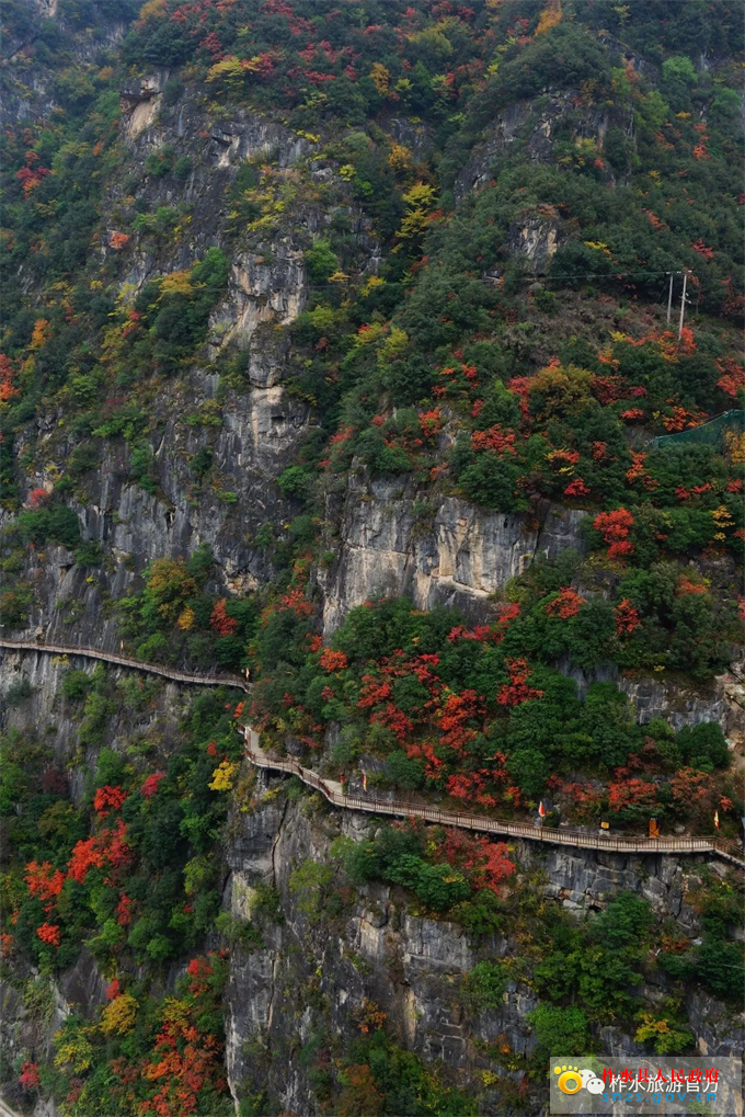 微信图片_20201030081737.jpg 微信图片_20201030081737.jpg