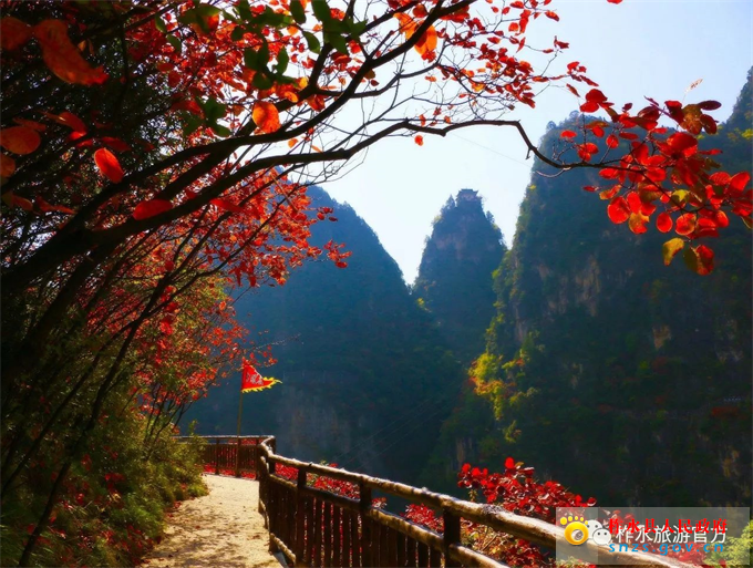 微信图片_20201030081741.jpg 微信图片_20201030081741.jpg