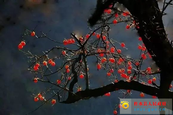 微信图片_20201111172105.jpg 微信图片_20201111172105.jpg