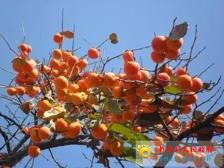 微信图片_20201111172115.jpg 微信图片_20201111172115.jpg