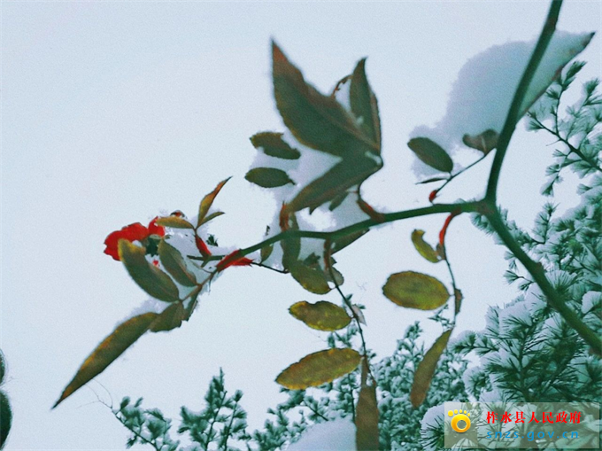 微信图片_20201126081443.jpg 微信图片_20201126081443.jpg