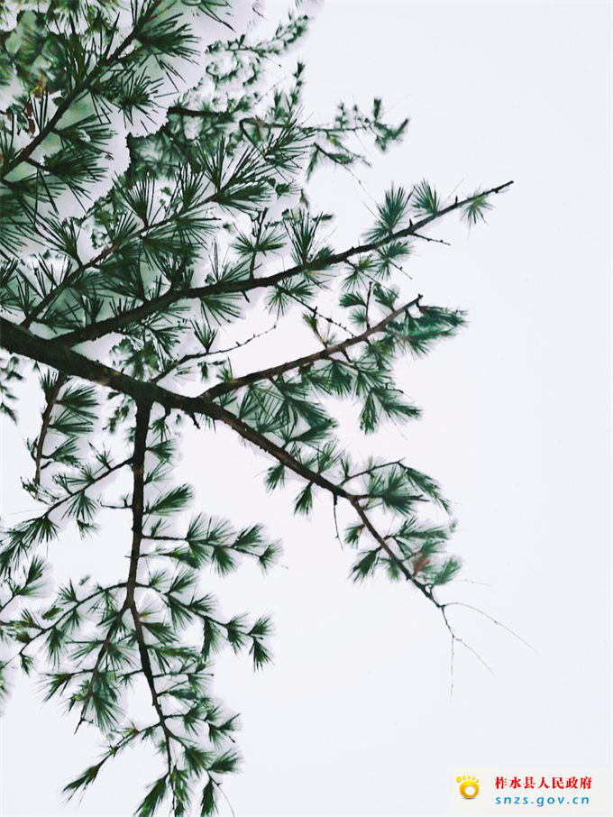 微信图片_20201126081515.jpg 微信图片_20201126081515.jpg