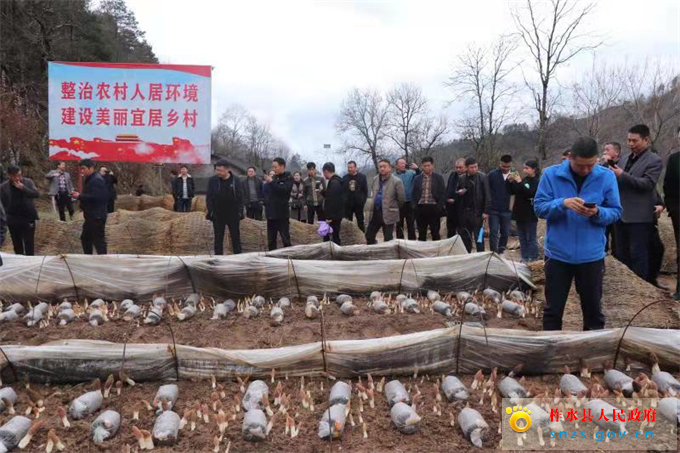 daa40438481e5cd177706374222fba5.jpg daa40438481e5cd177706374222fba5.jpg