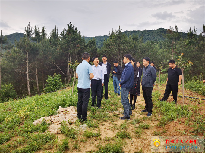 IMG_20210519_094217.jpg IMG_20210519_094217.jpg