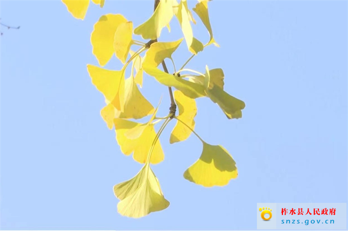 7083c0431e08c118ab29c3db9b8a8ff.jpg 7083c0431e08c118ab29c3db9b8a8ff.jpg