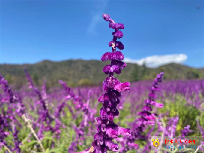 d0847d78783c37eb0c6099abaec85b2.jpg d0847d78783c37eb0c6099abaec85b2.jpg