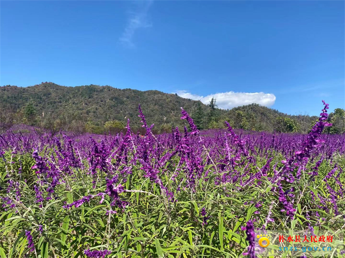 f4c8c29ca82340327699596ebcf2de3.jpg f4c8c29ca82340327699596ebcf2de3.jpg