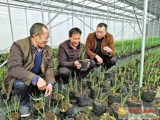 f19f95eebdb9937caae7cce090c97c40_img_313_432_411_308.jpg f19f95eebdb9937caae7cce090c97c40_img_313_432_411_308.jpg