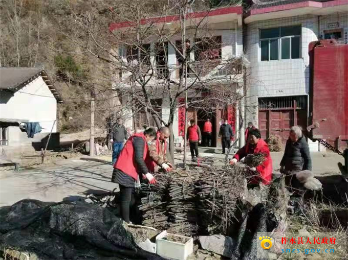 图片4.jpg 图片4.jpg