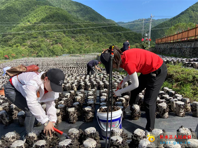 微信图片_20220625230225.jpg 微信图片_20220625230225.jpg