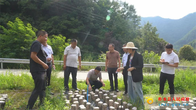 7.21.2.jpg 7.21.2.jpg