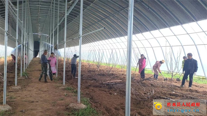 图片2.jpg 图片2.jpg