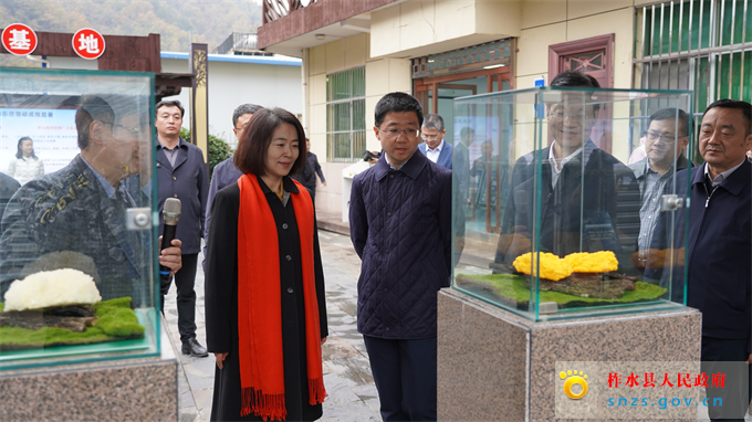 图片1.jpg 图片1.jpg