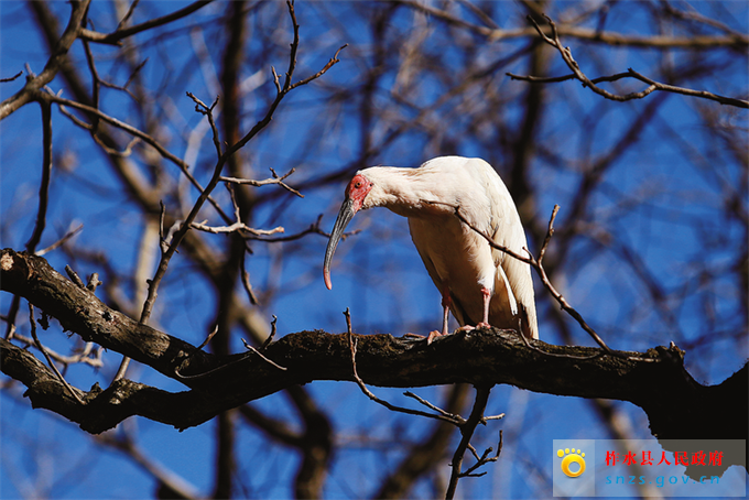 微信图片_20250108085538.jpg 微信图片_20250108085538.jpg