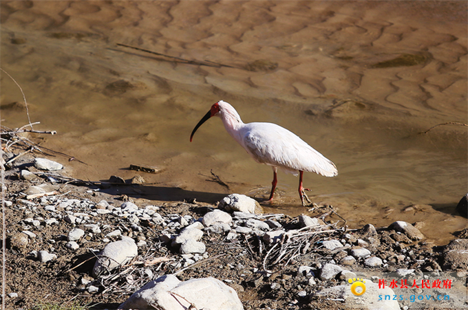 微信图片_20250108085525.jpg 微信图片_20250108085525.jpg